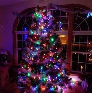 Meet your Posher, Debra